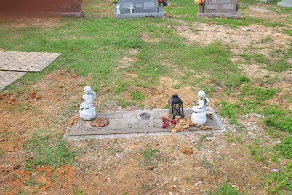 Forest Hills Cemetery grounds