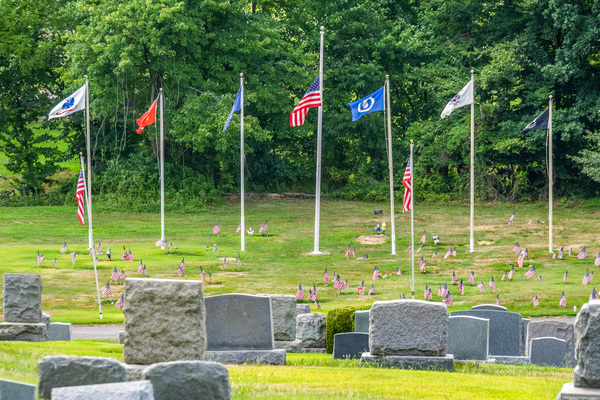Forest Hills/Shalom Memorial Park grounds