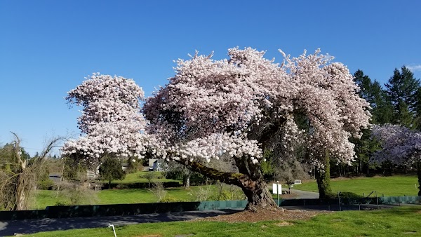 Forest Lawn Cemetery grounds