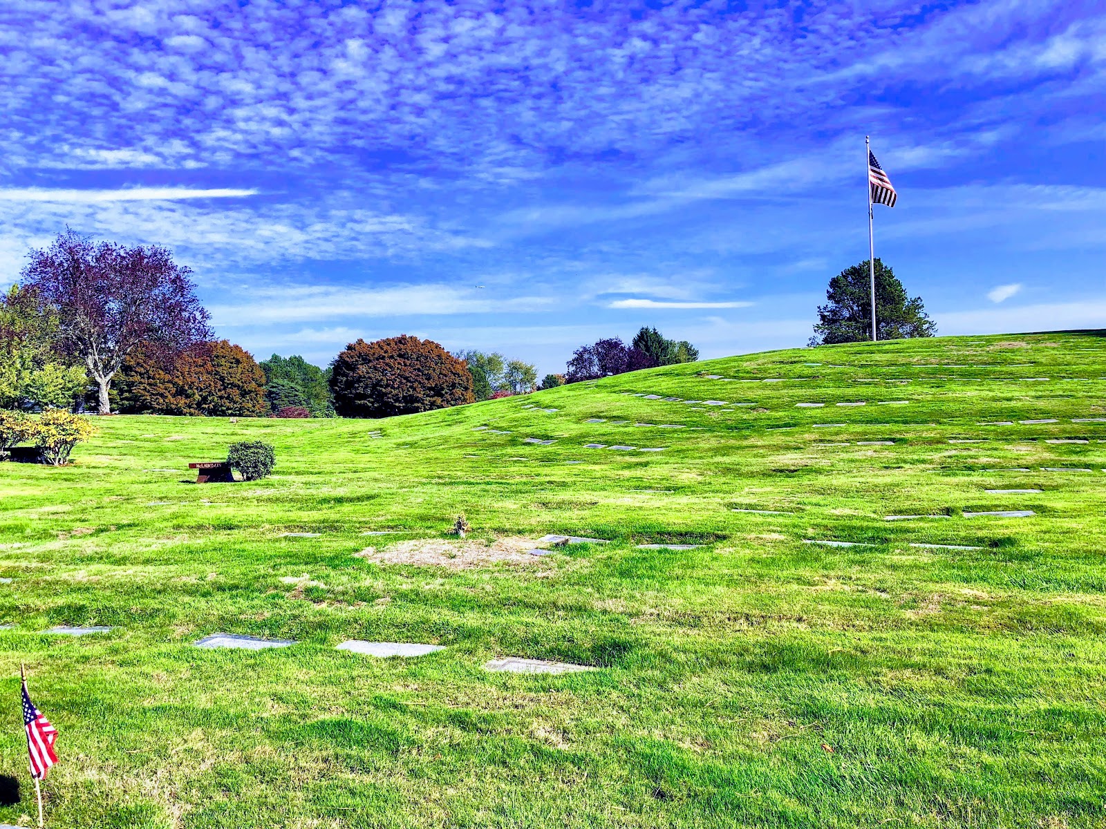 Forest Lawn Cemetery cemetery grounds and headstones
