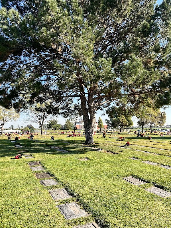 Forest Lawn grounds