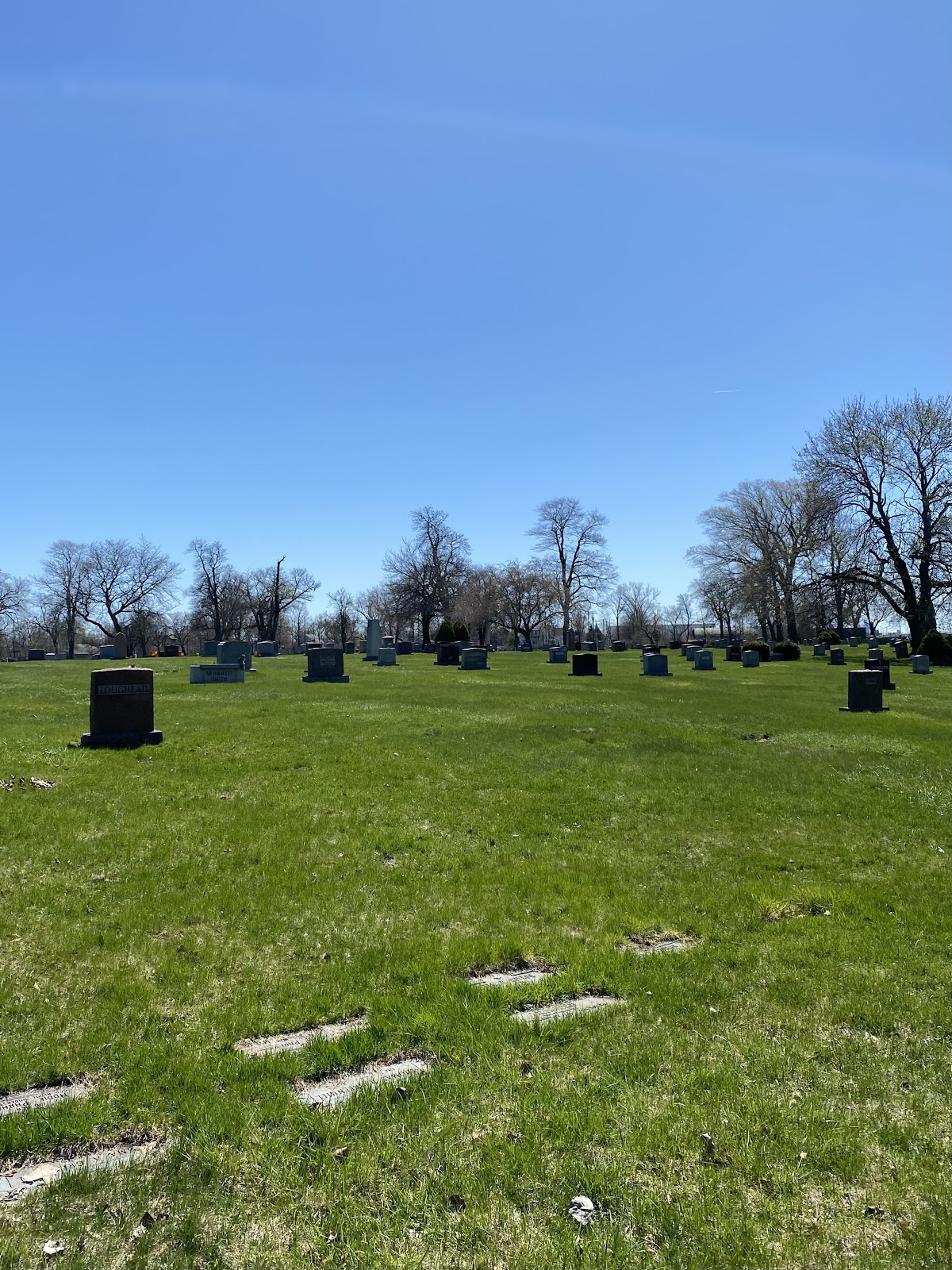 Forest Lawn Memorial Park cemetery grounds and headstones