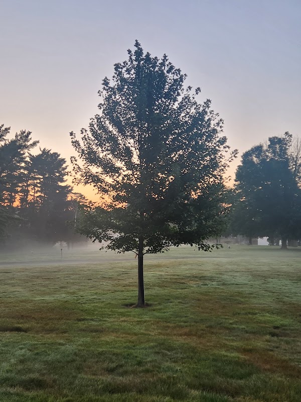 Forest Lawn Memorial Park grounds