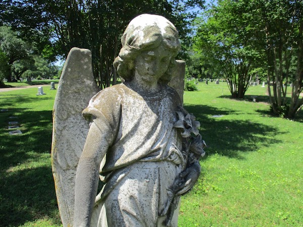 Forest Park Cemetery grounds