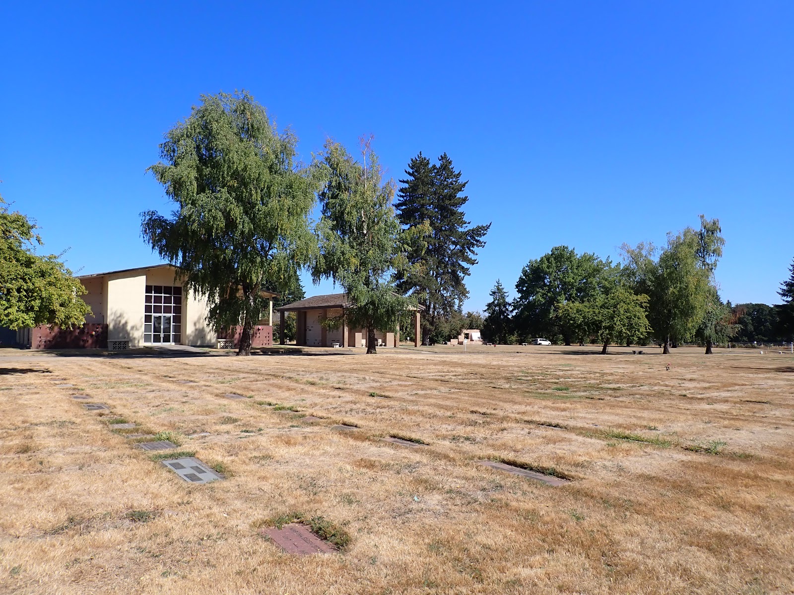 Forest View Cemetery
