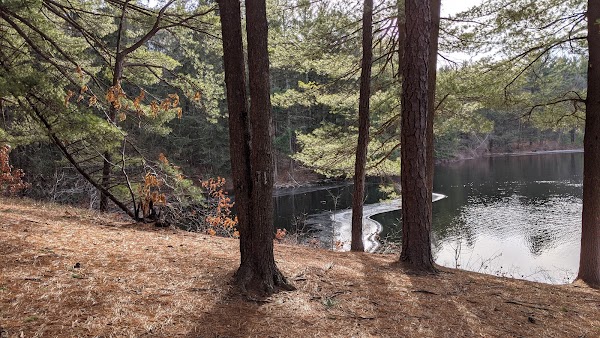 Forest-Rest Memorial Park grounds