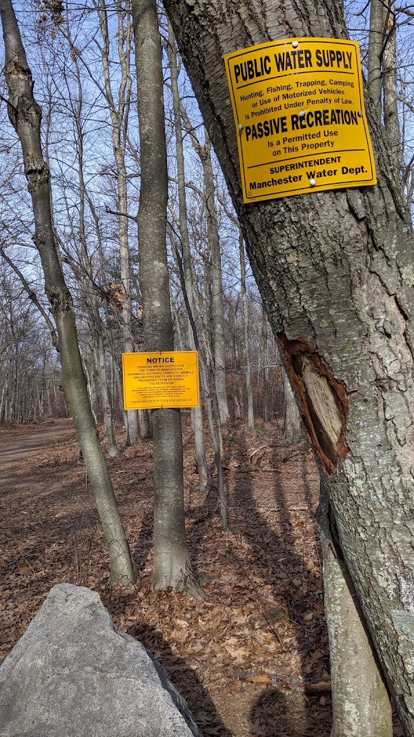 Forest-Rest Memorial Park grounds