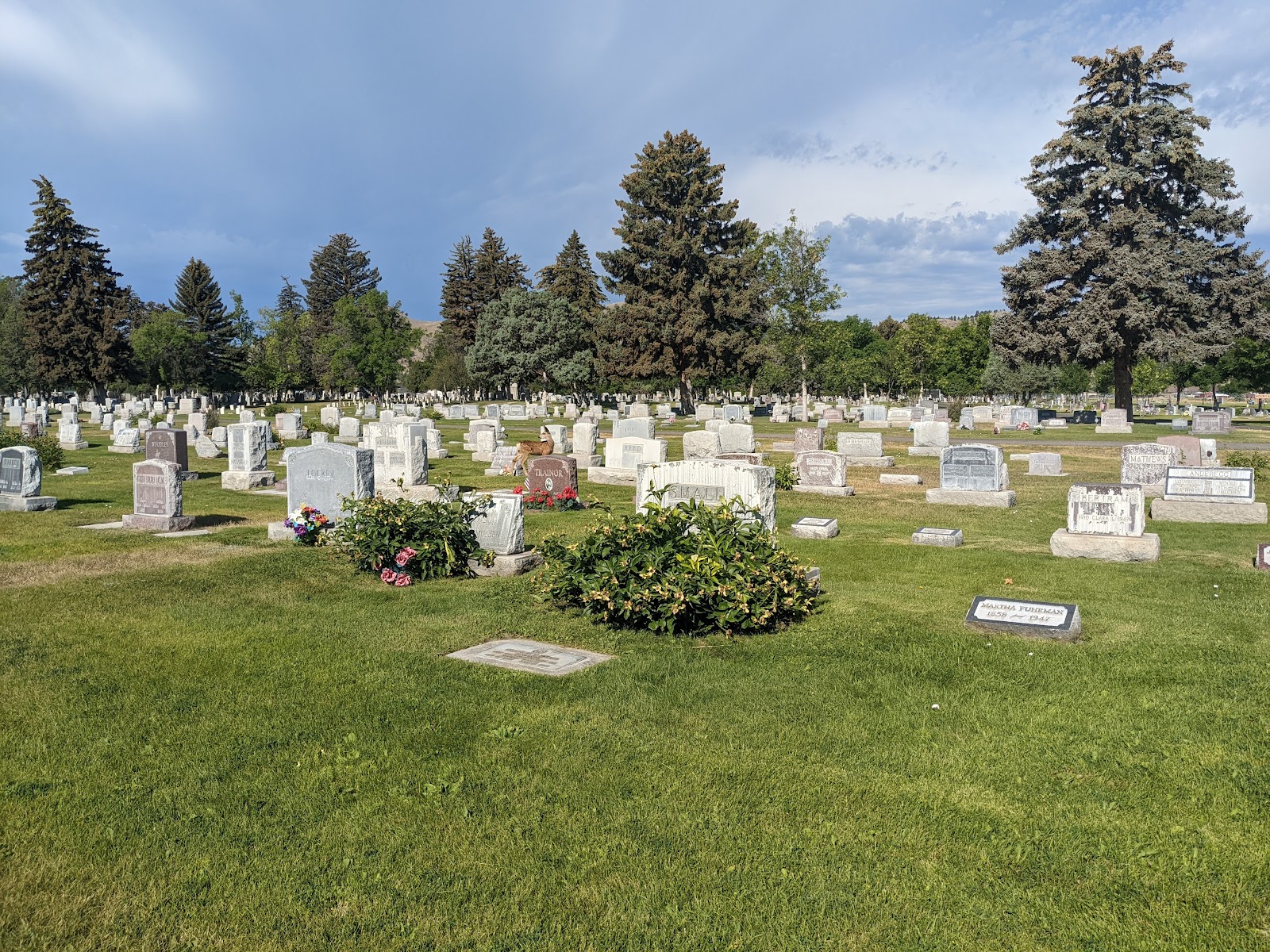 Forestvale Cemetery cemetery grounds and headstones