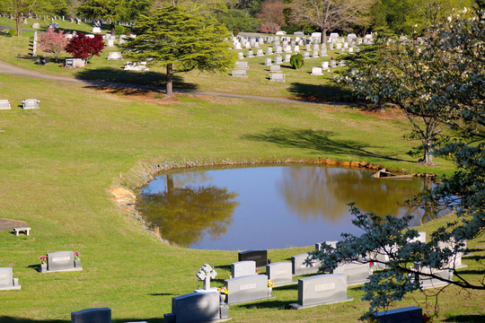 Forsyth Memorial Park