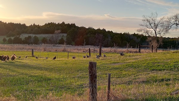 Fort McPherson National Cemetery grounds