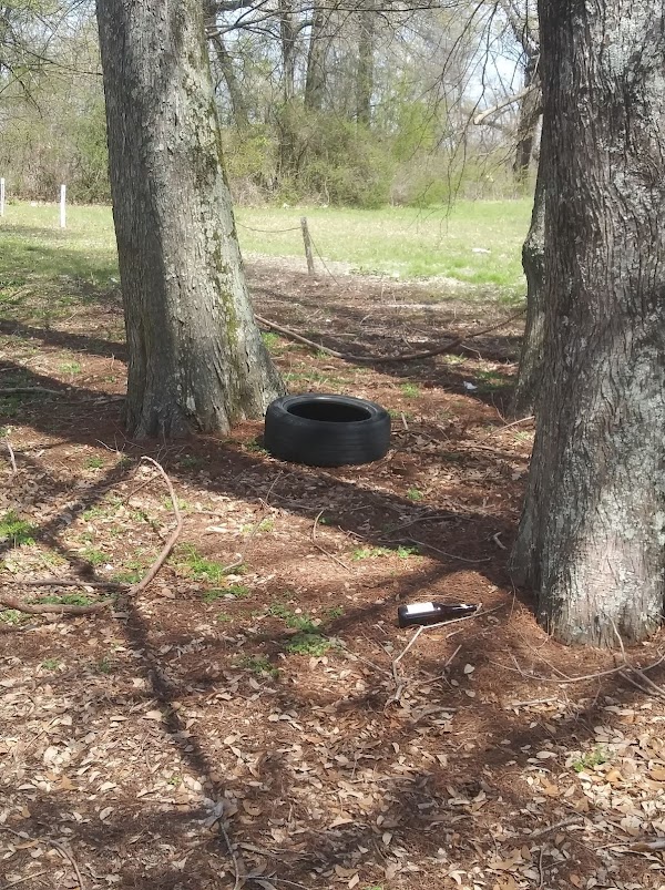 Fort Pemberton Memorial Park grounds