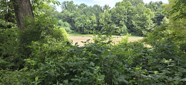 Fort Pemberton Memorial Park grounds