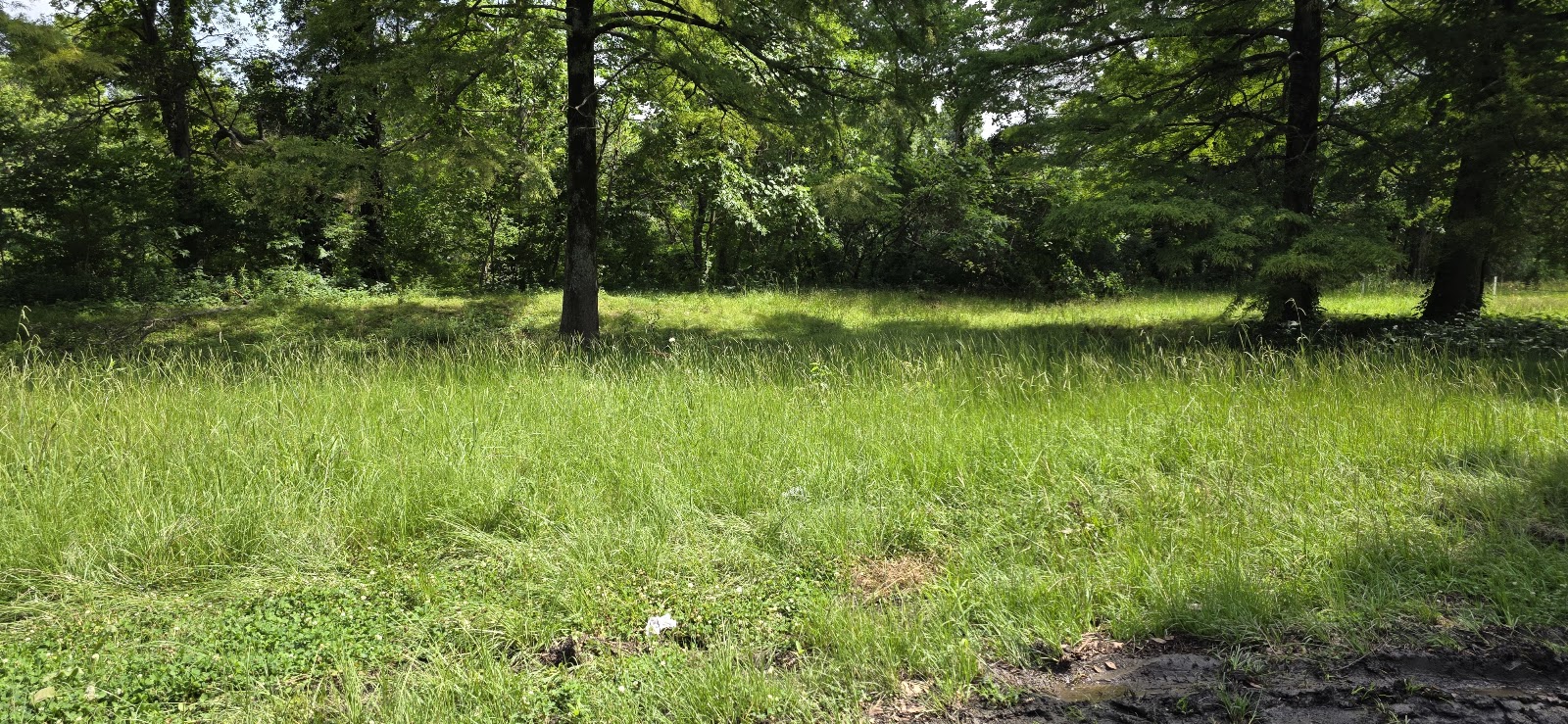 Fort Pemberton Memorial Park cemetery grounds and headstones