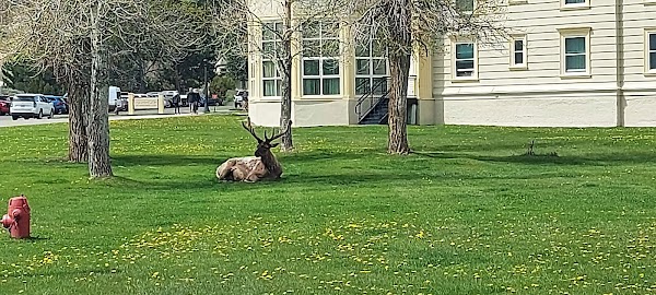 Fort Yellowstone Cemetery grounds