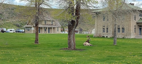Fort Yellowstone Cemetery grounds