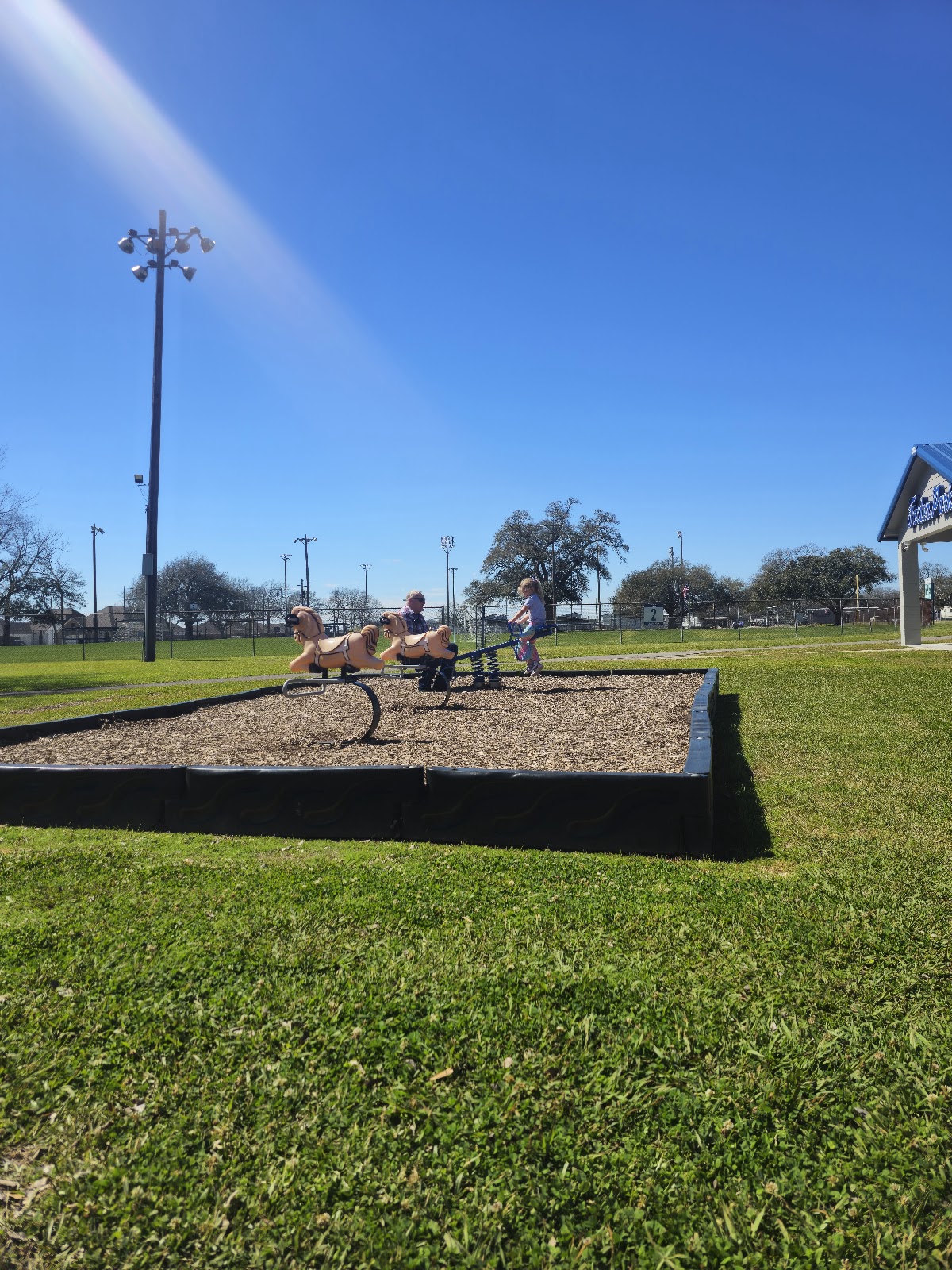 Foster Memorial Park cemetery grounds and headstones