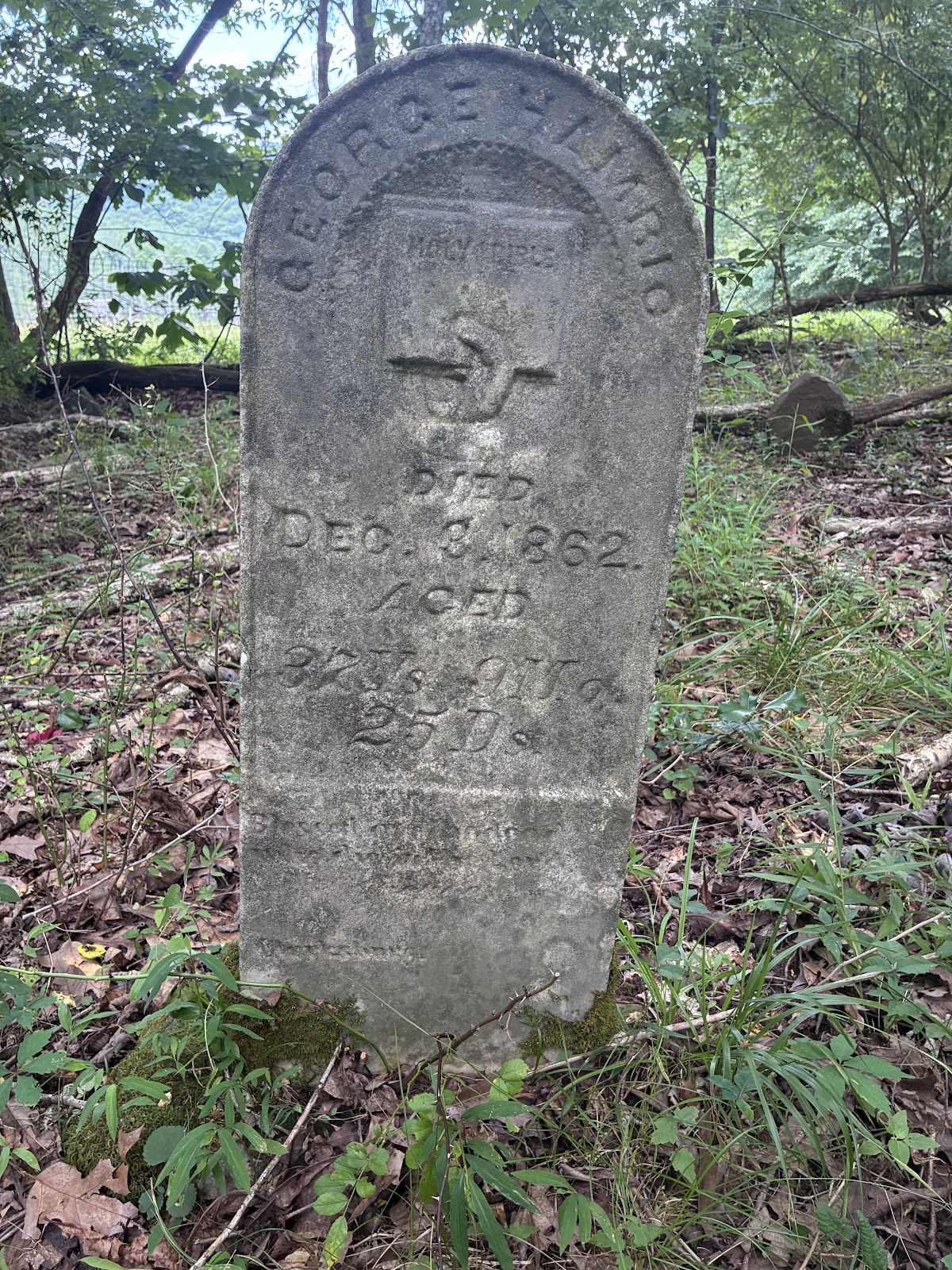 Fox Cemetery headstone and grounds