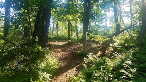 Francis C Carter Memorial Preserve grounds