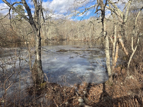Francis C Carter Memorial Preserve grounds
