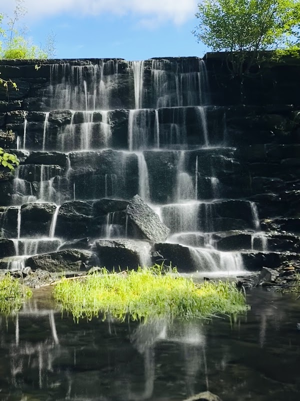 Frank P. Witek Memorial Park grounds