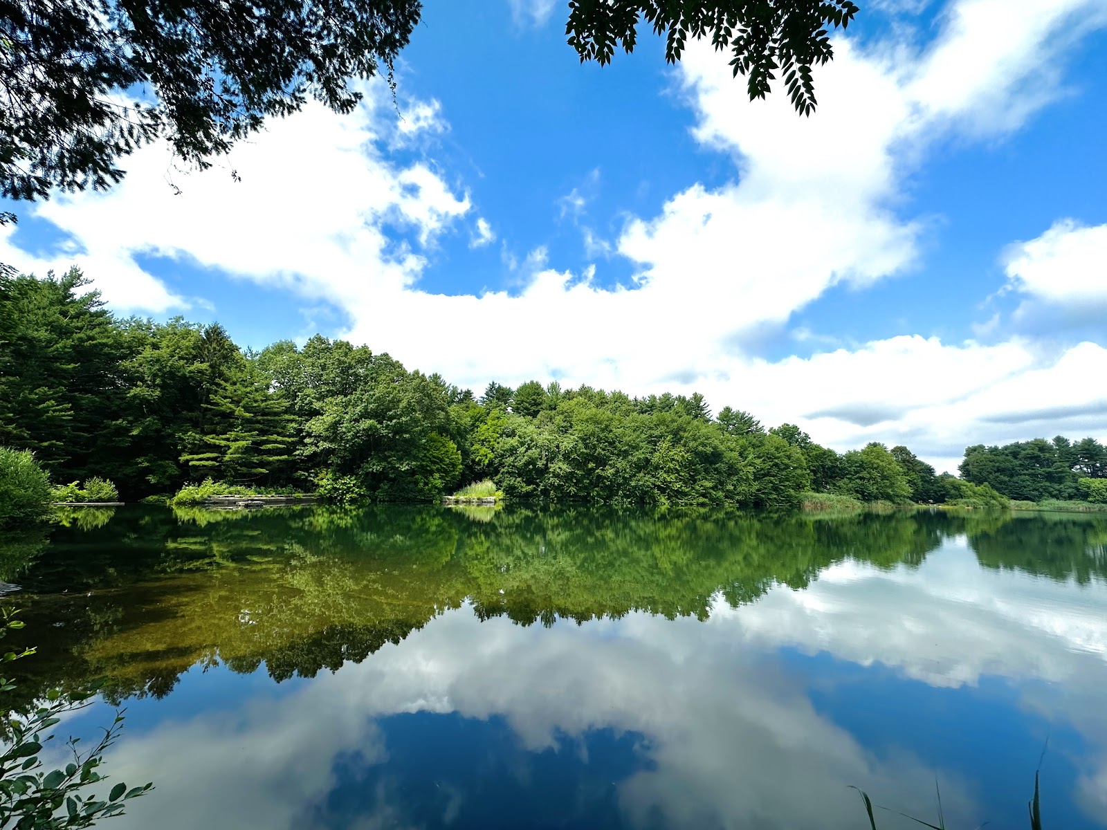 Frank P. Witek Memorial Park cemetery grounds and headstones