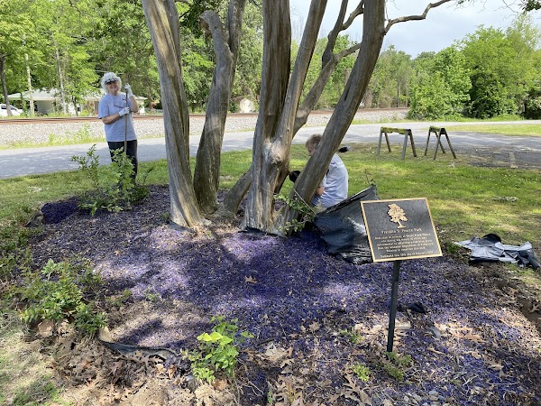 Frank Pearce Memorial Park grounds