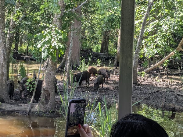 Frenier Cemetery grounds