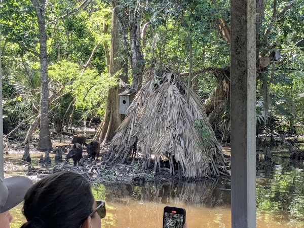 Frenier Cemetery grounds