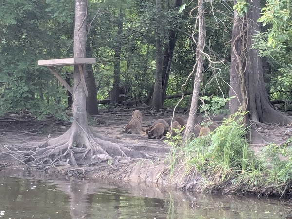 Frenier Cemetery grounds