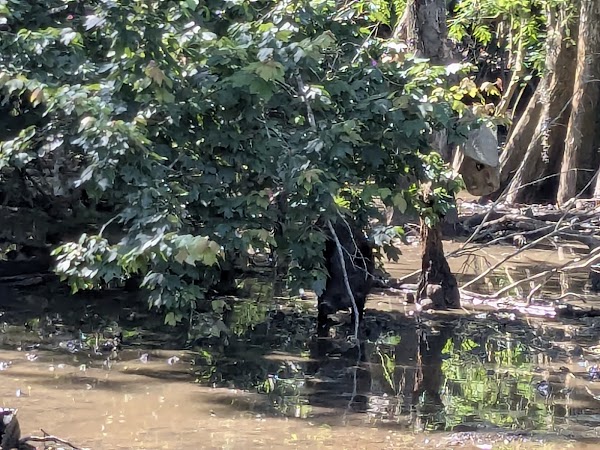 Frenier Cemetery grounds