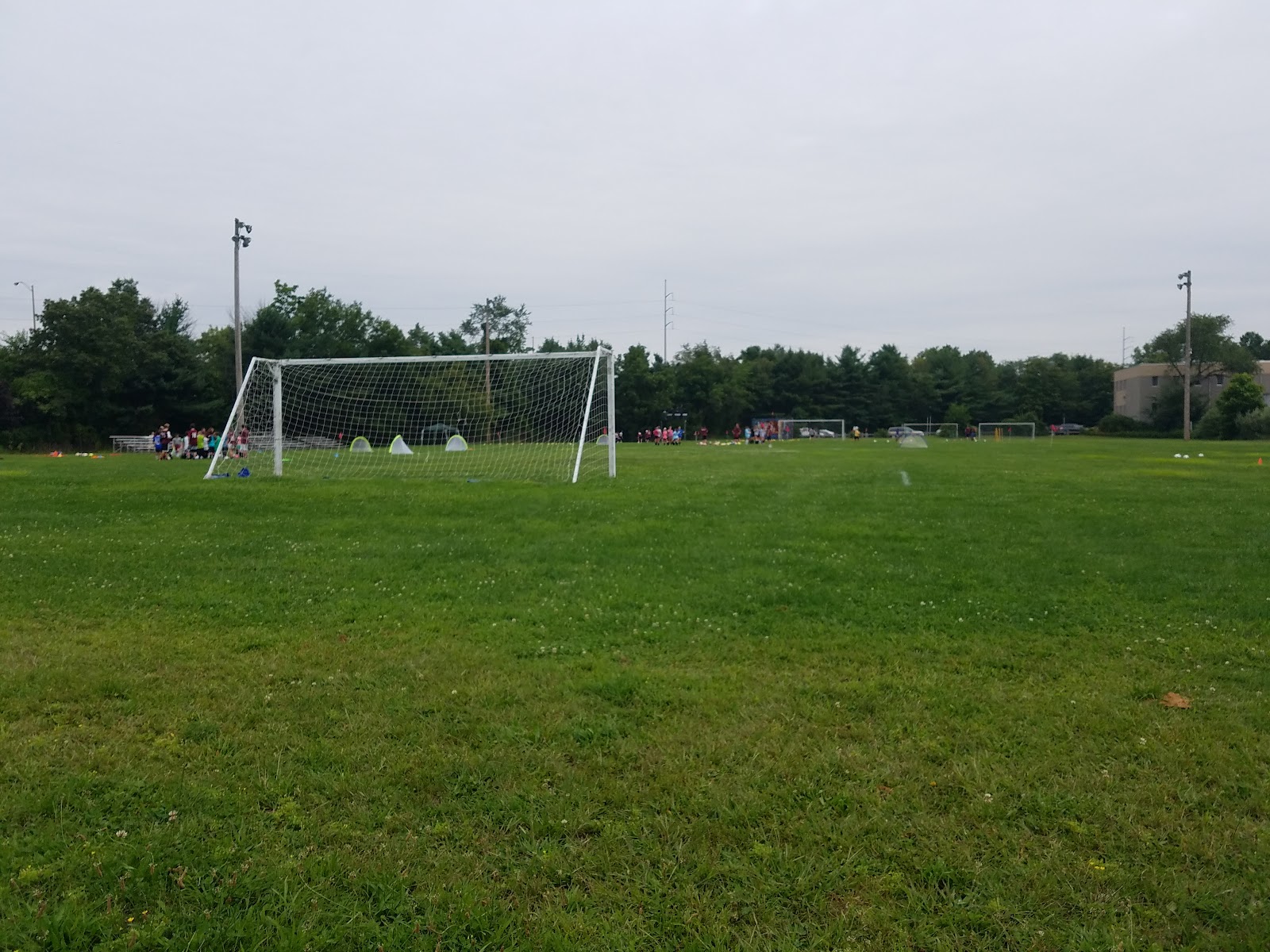 G. Carl Veith Memorial Park cemetery grounds and headstones