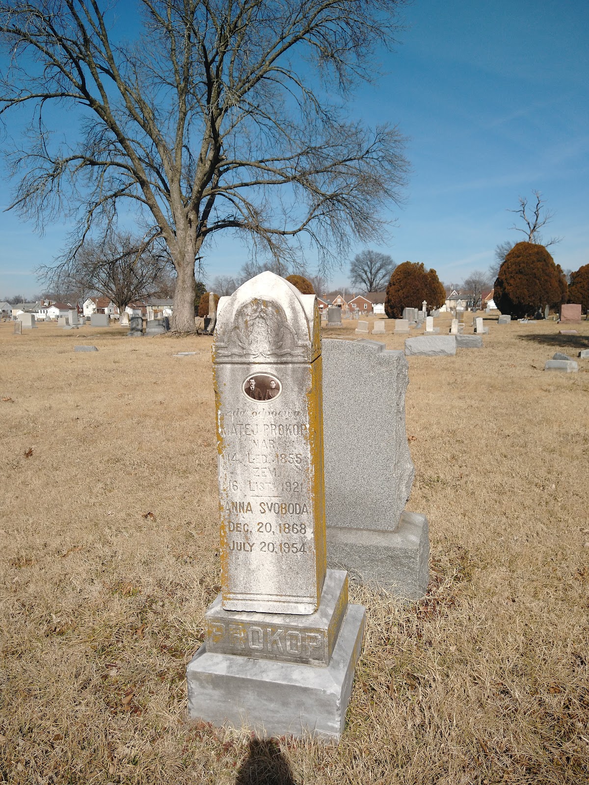 Gatewood Gardens Cemetery cemetery grounds and headstones