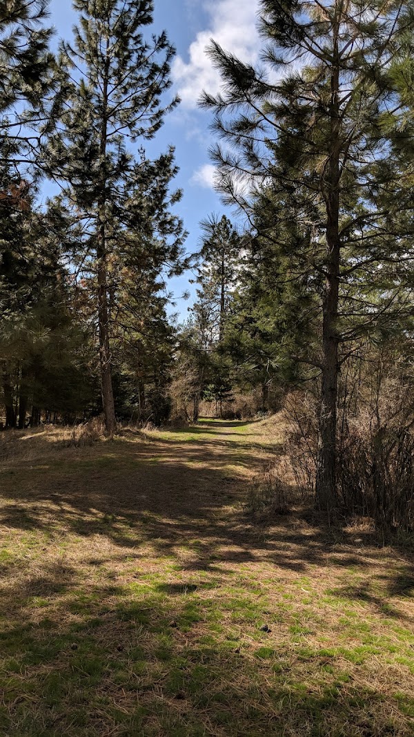 George Anderl Memorial Park grounds