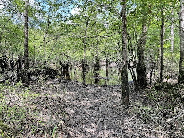 Gilland Memorial Park grounds