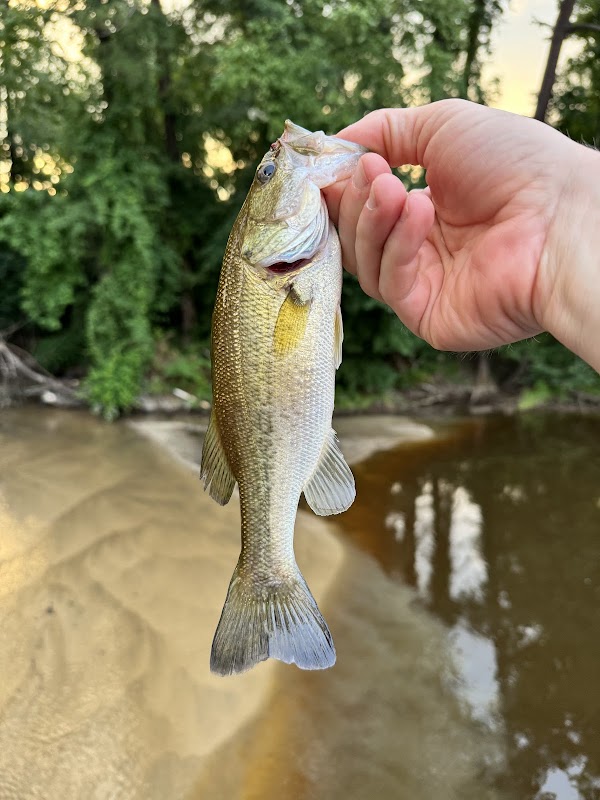 Gills Creek Memorial Park grounds