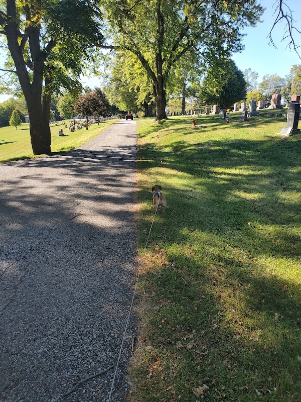 Glenwood Cemetery grounds