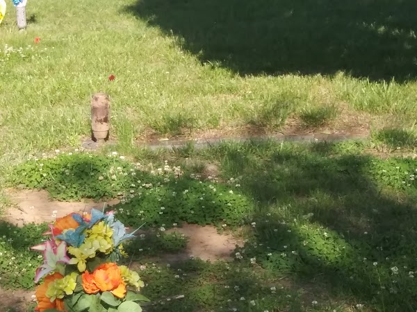 Glenwood Cemetery grounds