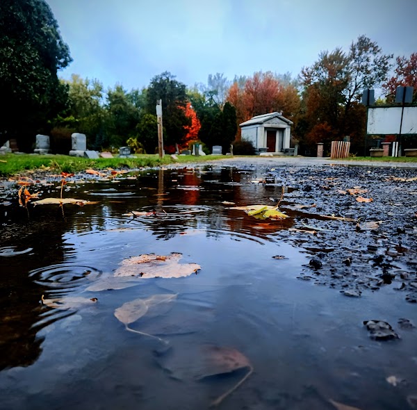 Glenwood Cemetery grounds