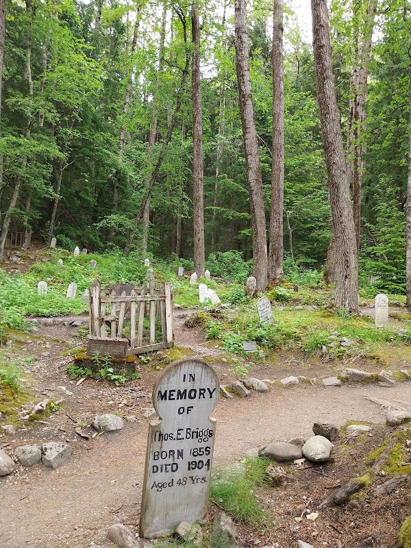 Gold Rush Cemetery grounds