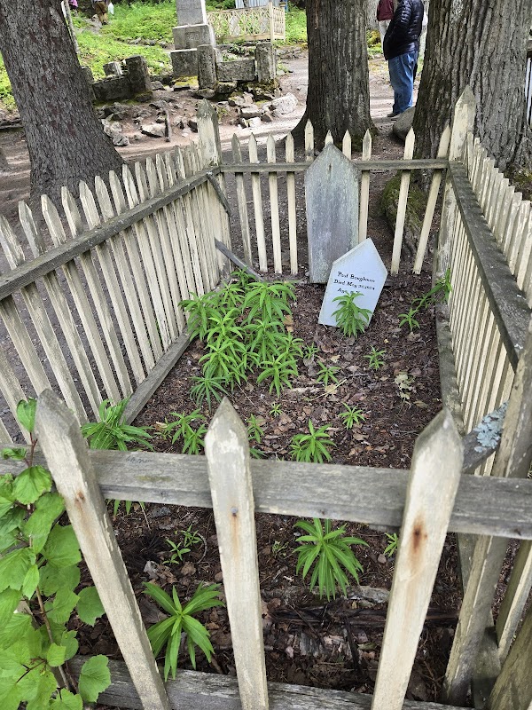 Gold Rush Cemetery grounds