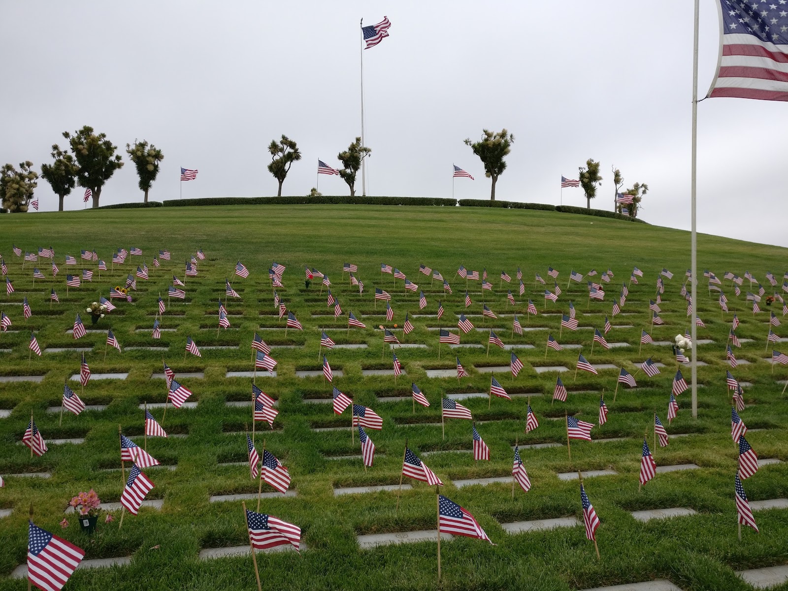 Golden Gate National Cemetery cemetery grounds and headstones