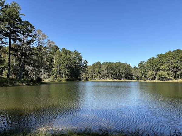 Golden Memorial State Park grounds