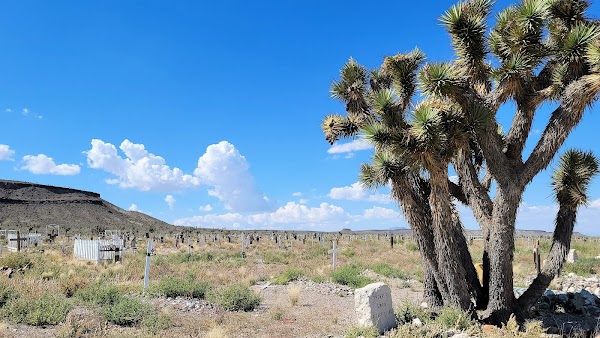 Goldfield Cemetery grounds