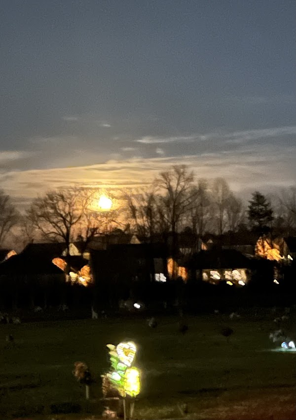 Graceland East Memorial Park grounds