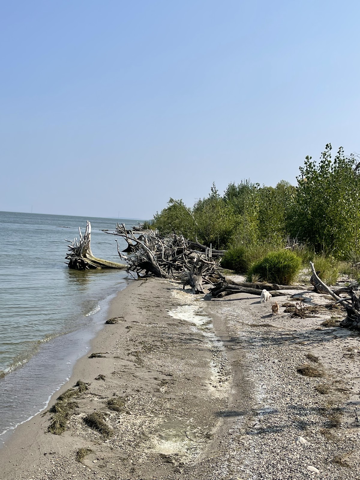 Grahams Island State Park cemetery grounds and headstones