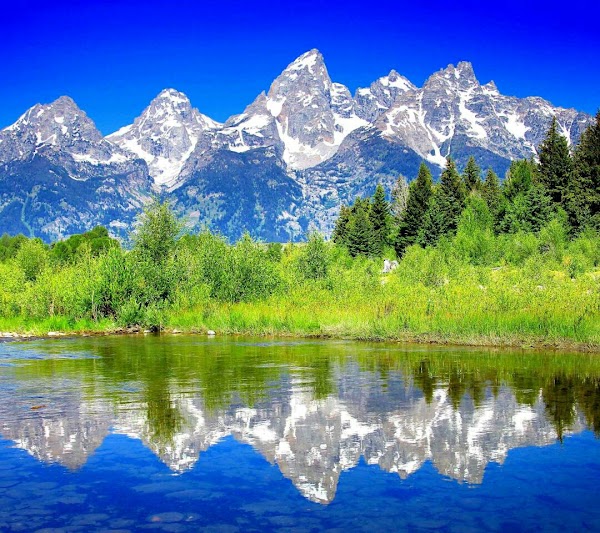 Grand Teton National Park grounds