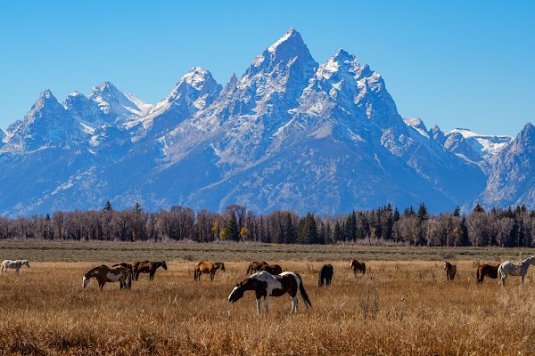 Grand Teton National Park grounds