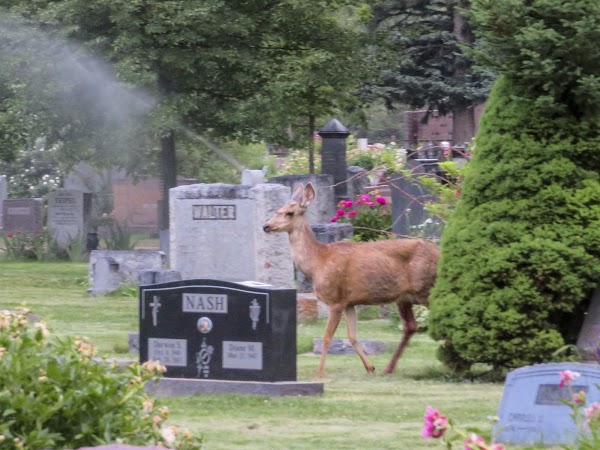 Grandview Cemetery Office grounds