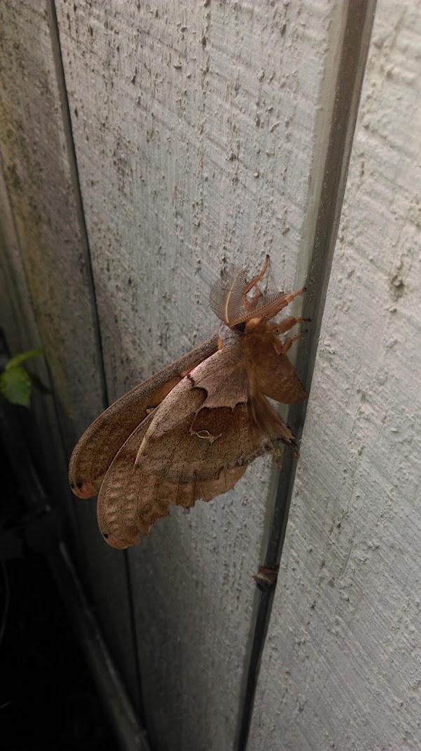 Grandview Memorial Gardens & Mausoleum grounds