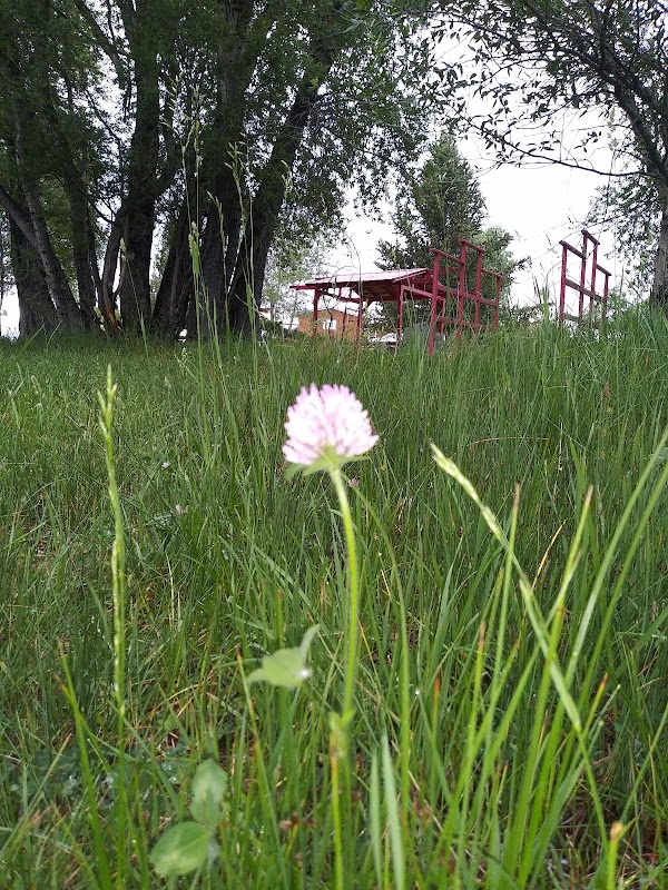 Grandview Park grounds